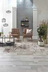 Alhambra 6504C Ivory/Beige Antique Style Contemporary Rug - Pendle Village Furniture