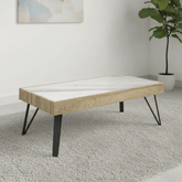 Ragnor White Ceramic & Wooden Frame Coffee Table