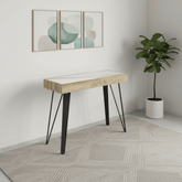Ragnor White Ceramic & Wooden Frame Console Table