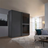 Black Colour Sliding 2 Door Wardrobe with Transparent glass