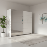 Modern interior with a sliding wardrobe door and decorative plant.