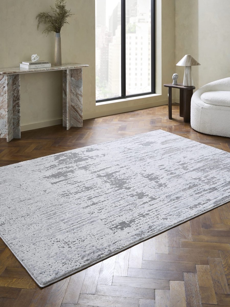 Apollo CK406 Modern Abstract Rug in Grey/Silver styled in a modern room