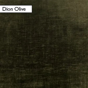 Dion Olive