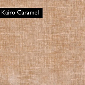 Kairo Camel