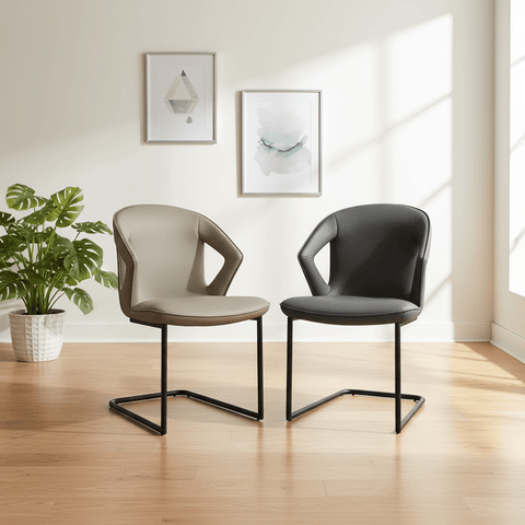 Two modern curved dining chairs with black metal cantilever legs are shown in a bright, sunlit room with light wood floors, a potted plant, and framed wall art. One chair is taupe/beige and the other is dark gray.