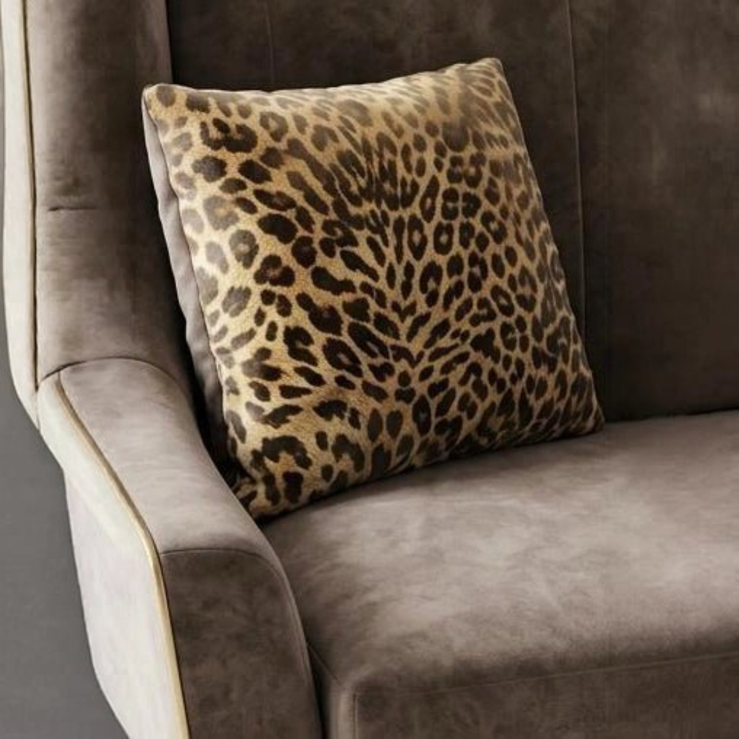 Modern cushions, soft dappled fabric, and an elegant contemporary look.