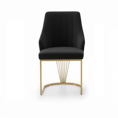 Ottavia Black Velvet Dining Chairs with Gold Base – Set of 4 - Pendle Village Furniture