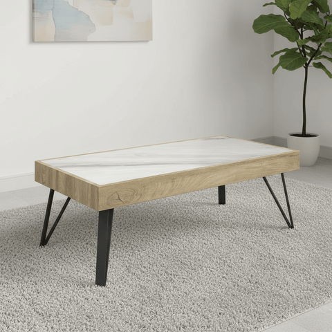 Ragnor White Ceramic & Wooden Frame Coffee Table